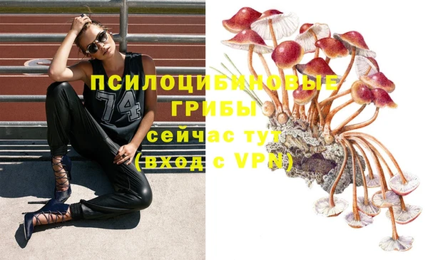 MDMA Михайлов