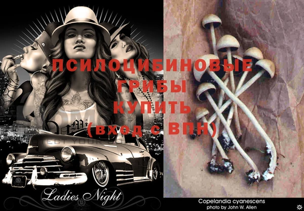 MDMA Михайлов
