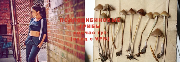 дурь Михайловка