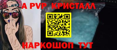 бошки Кингисепп