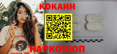 бошки Кингисепп