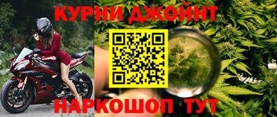 бошки Кингисепп