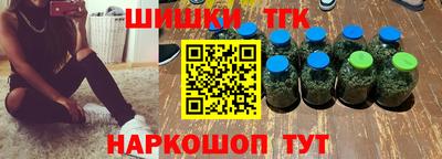 бошки Кингисепп