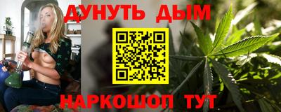 бошки Кингисепп
