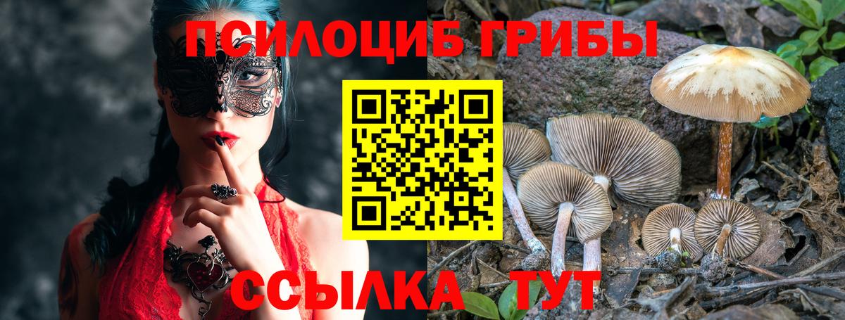 Псилоцибиновые грибы MAGIC MUSHROOMS  Галлюциногенные грибы Cubensis  Тихорецк  Вход с VPN 